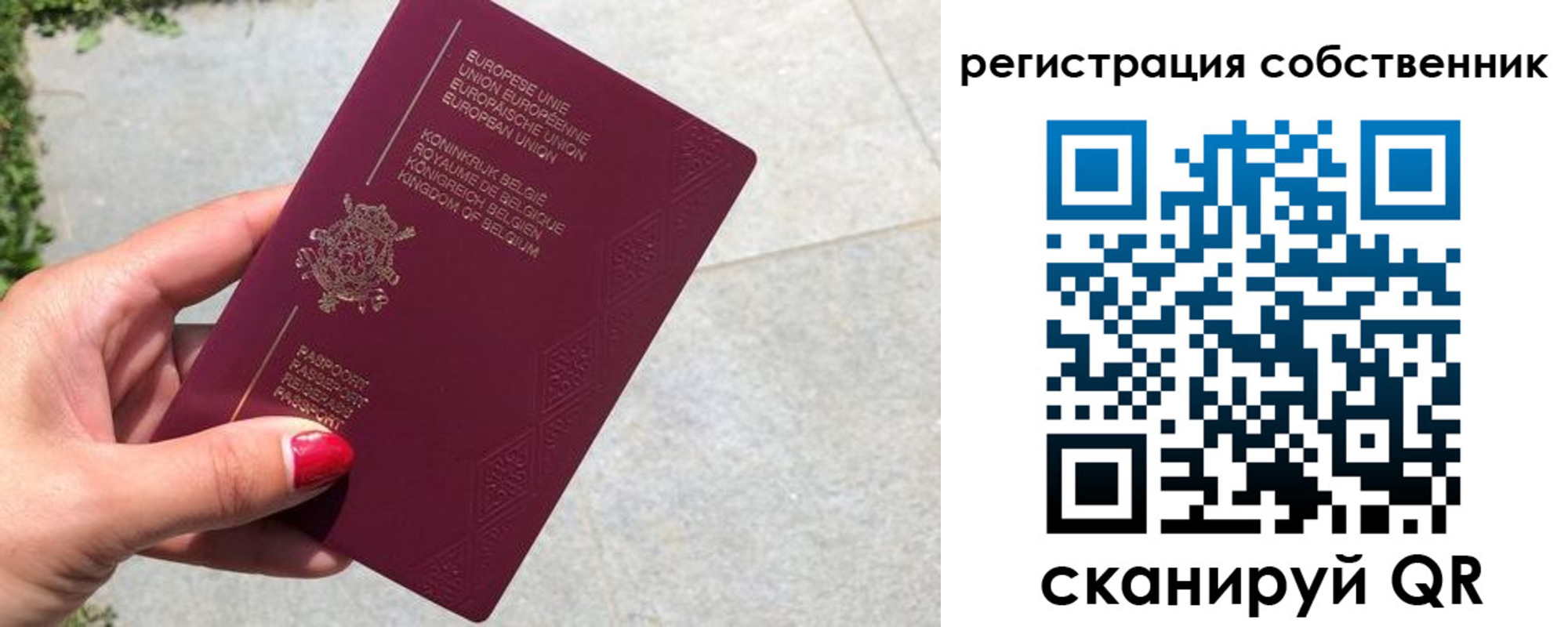 временная регистрация поиск в Оленегорске